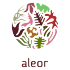 Aleor